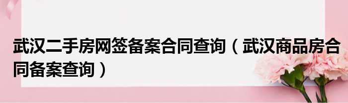 武汉司法证可以网上备案不