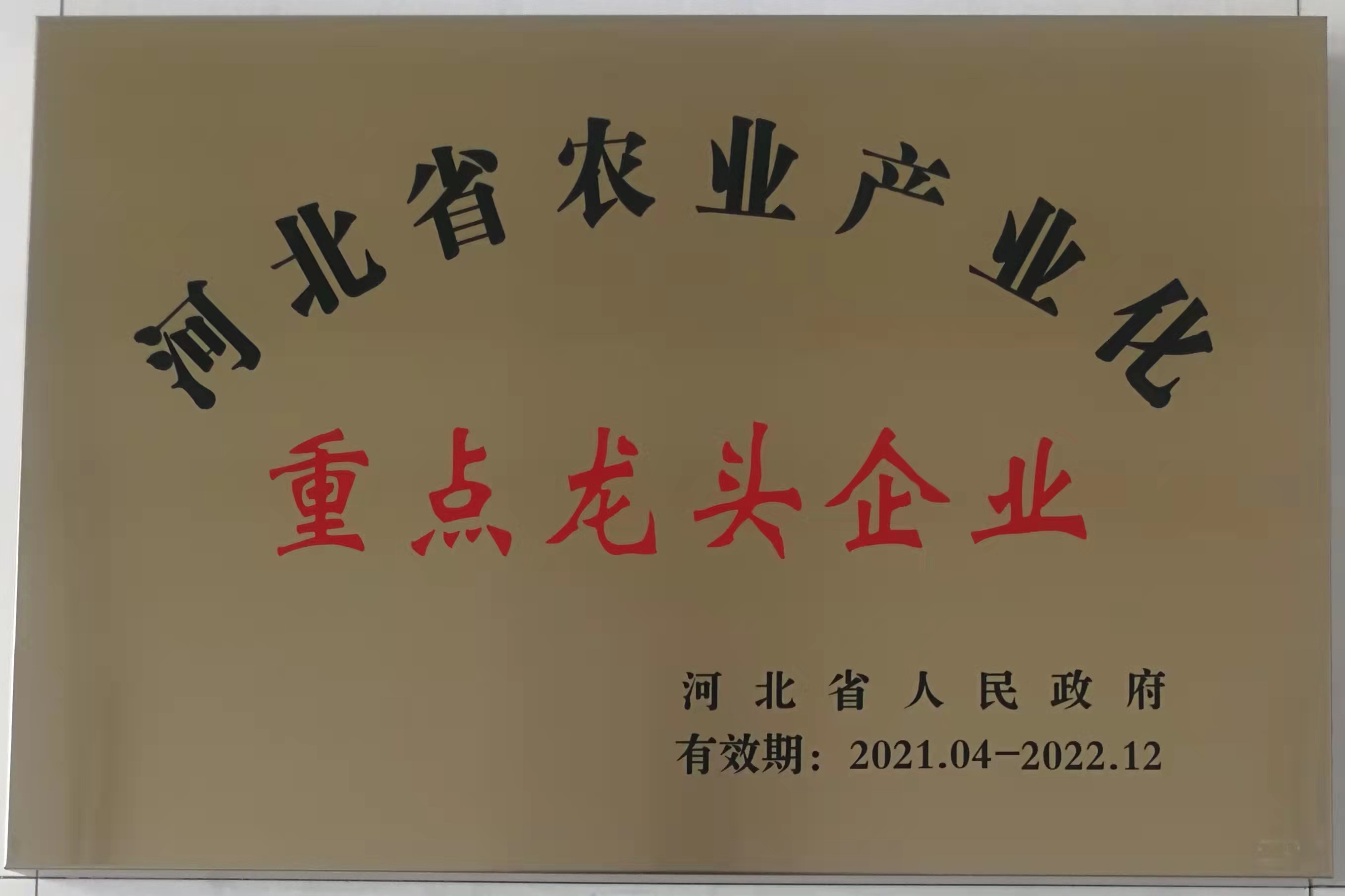 河北出口薯条备案公司